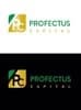 profectus capital Private Limited