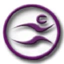 null logo