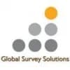 Global Survey Solutions