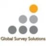 Global Survey Solutions