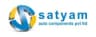 Satyam Auto Components