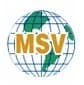 MSV International