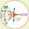 Nonferrous Materials Technology Development Centre
