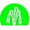 Ripples Engineering Pvt Ltd