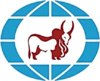 IndusInd Capital