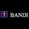 Bandi Informatics