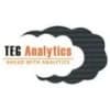 Teg Analytics logo