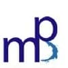 null logo