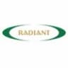 Radiant Info Solutions Pvt. Ltd.