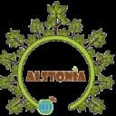 Alstonia Consulting