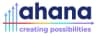 Ahana Systems & Solutions