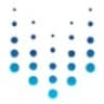 YUCCA IT SOLUTIONS PRIVATE LIMITED
