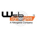 Web Synergies