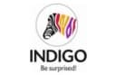 indigo paints