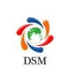 DSM Infocom