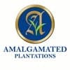 Amalgamated Plantations