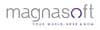 magnasoft consulting india pvt. ltd