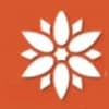 null logo