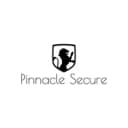 Pinnacle info services