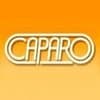 caparo engineering india pvt. ltd