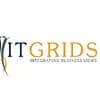 IT Grids