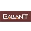 gallantt ispat ltd