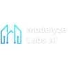 Modelyze Labs