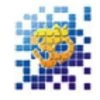 AUM INFOTECH