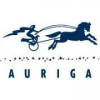 Auriga Software Pvt. Ltd.