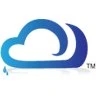 Blue Dots Consultancy Services