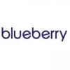 Blueberry Digital Labs PH Inc.