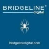 Bridgeline Digital