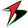 Burgeon Software