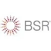 Business for Social Responsibility