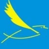 COSYN Limited