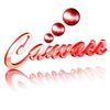 Canvass Software