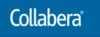 Collabera Technologies Pvt Ltd.