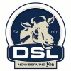 DSL Software