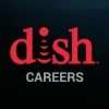 Dish Infra Services Pvt Ltd