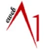 Eweb A1 Professionals