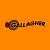 Gallagher Security