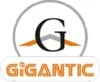 Gigantic infotel pvt ltd