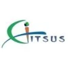 Global IT Solutions, Inc Texas