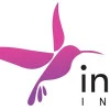 Innovation Incubator