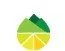 Lemon Peak Marketing Services