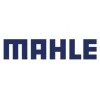 Mahle Filter Systems