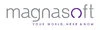 Magnasoft Consulting India Pvt. Ltd.