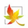 Maple Software