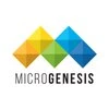 MicroGenesis Techsoft Private Limited