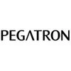 PEGATRON